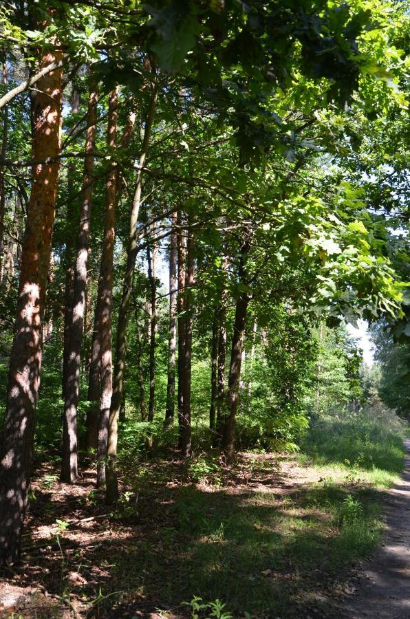 Agroturystyka Czekaj Przy Suntago Lublinow Dış mekan fotoğraf